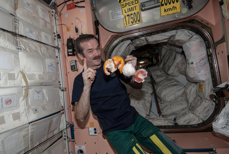 Illustration for article titled Beloved ISS Commander Chris Hadfield Is Retiring